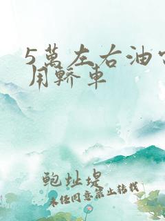 5万左右油电两用轿车