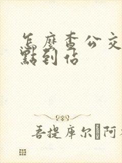 怎么查公交车几点到站
