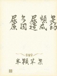 尿多尿频是什么原因造成的