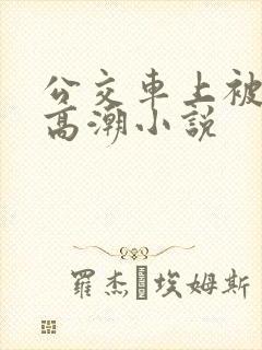 公交车上被插到高潮小说