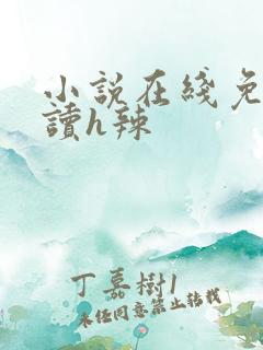 小说在线免费阅读h辣