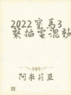 2022宝马3系插电混动