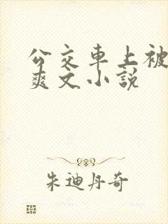 公交车上被强上爽文小说