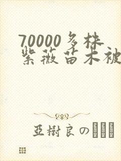 70000多株紫薇苗木被强毁