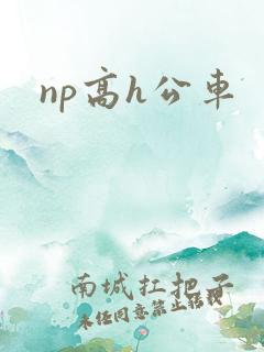 np高h公车