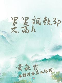 男男调教3p车文高h