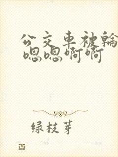 公交车被轮啊啊 嗯嗯啊啊