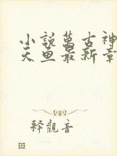 小说万古神帝飞天鱼最新章节目录