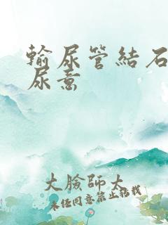 输尿管结石刺激尿意