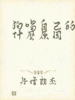 狗喝自己的尿是什么原因