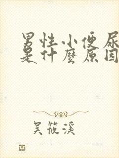 男性小便尿起泡是什么原因