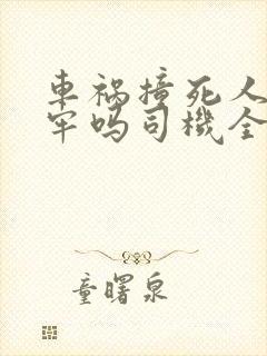车祸撞死人要坐牢吗司机全责