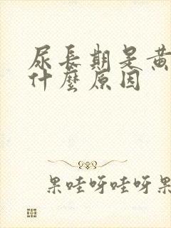 尿长期是黄的是什么原因