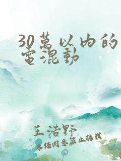 30万以内的插电混动