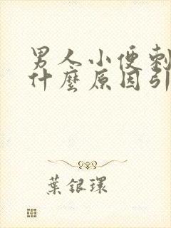 男人小便刺痛是什么原因引起的