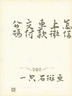 公交车上怎么扫码付款微信