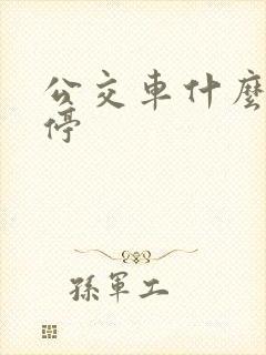 公交车什么时候停