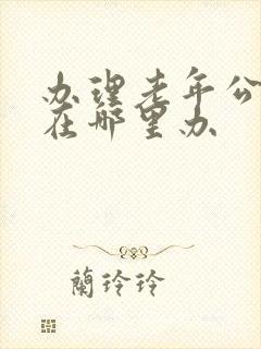办理老年公交卡在哪里办
