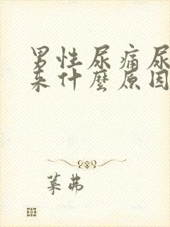 男性尿痛尿不出来什么原因引起的