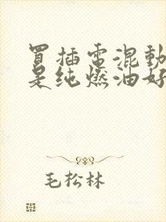 买插电混动好还是纯燃油好