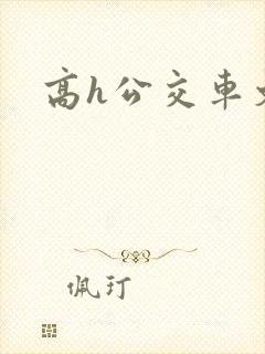 高h公交车文