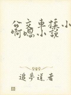公交车揉小雪胸啊嗯小说