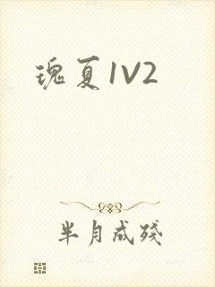 瑰夏1V2