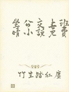 坐公交上班的苏晴小说免费阅读