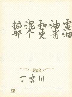 插混和油电混合哪个更省油