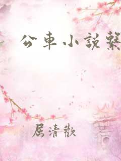 公车小说系列