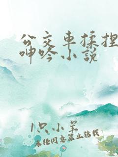 公交车揉捏大乳呻吟小说