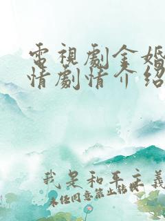 电视剧金婚风雨情剧情介绍