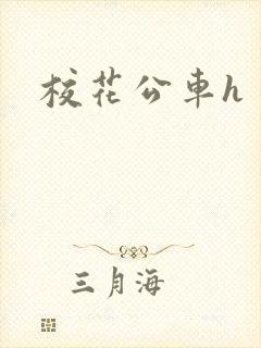 校花公车h