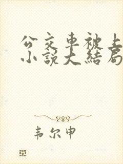 公交车被上高潮小说大结局