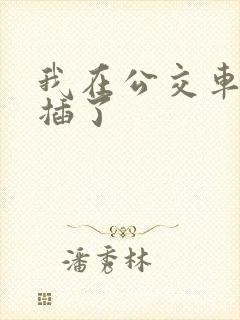 我在公交车上被插了