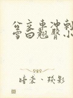 公交车冲刺校花雪白翘臀小说