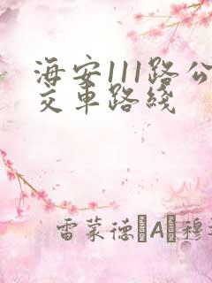 海安111路公交车路线
