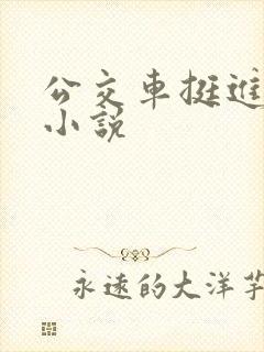 公交车挺进她的小说