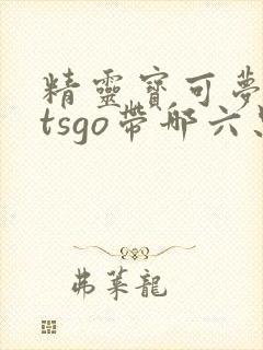 精灵宝可梦letsgo带哪六只