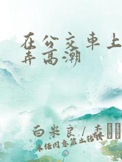 在公交车上被人弄高潮