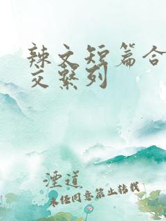 辣文短篇合集公交系列