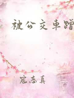 被公交车蹭了