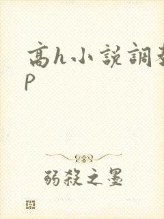 高h小说调教np