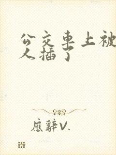 公交车上被陌生人插了