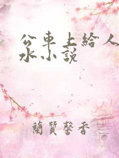 公车上给人摸出水小说