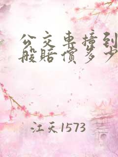公交车撞到人一般赔偿多少
