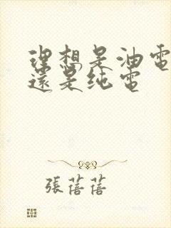 理想是油电混合还是纯电