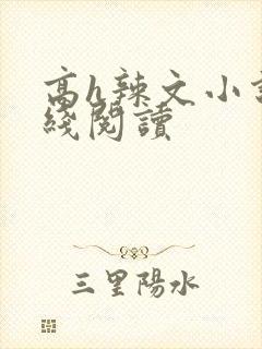 高h辣文小说在线阅读