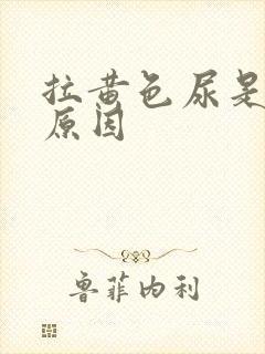 拉黄色尿是什么原因