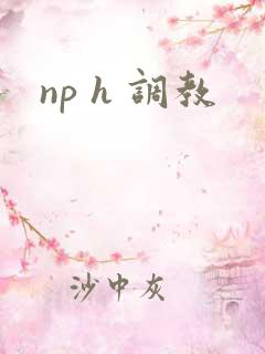 np h 调教